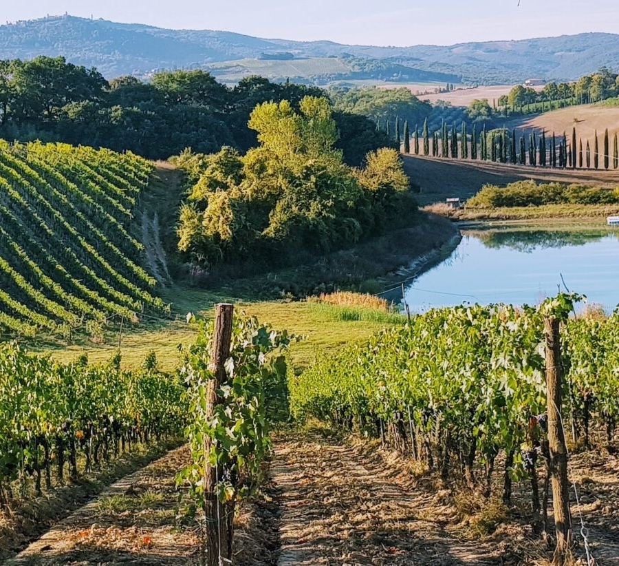 Taste Tuscany: Italy Wine Journey