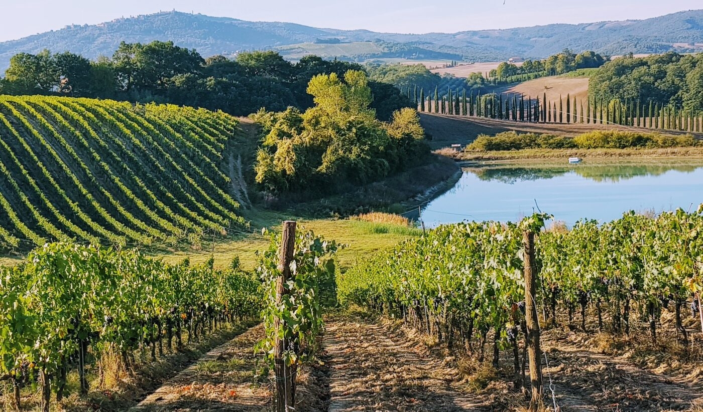 Taste Tuscany: Italy Wine Journey